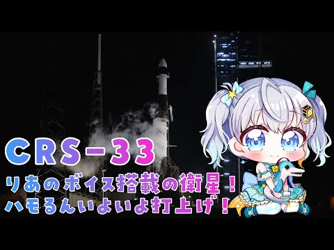 【#CRS33】りあの声が衛星に載って宇宙に行きます！ロケット打上解説 SpaceX 33rd Commercial Resupply Services✨ #宇推くりあ