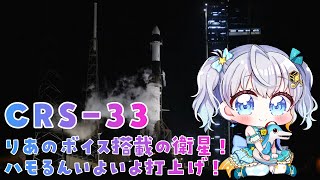 【#CRS33】りあの声が衛星に載って宇宙に行きます！ロケット打上解説 SpaceX 33rd Commercial Resupply Services✨ #宇推くりあ