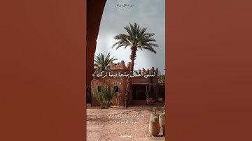 قارئ الشيخ محمد صديق المنشاوي، سورة المؤمنون #اكسبلور #المصحف #shortvideo #راحة_نفسية #حالات_واتس