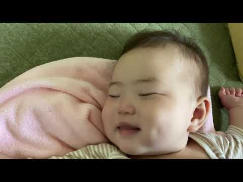 よっさん家の日常
