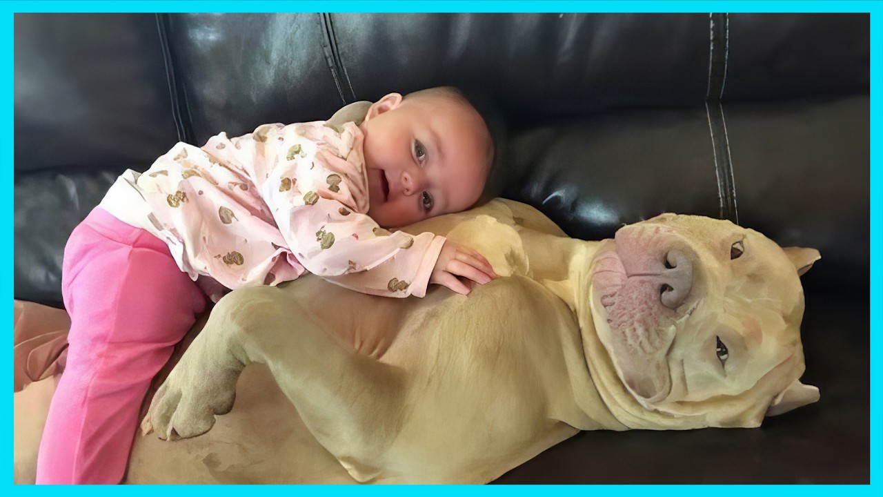 14 Minutes of the Cutest Baby & Dog Playing Outside 😂 Funny ANIMALS Video 2026