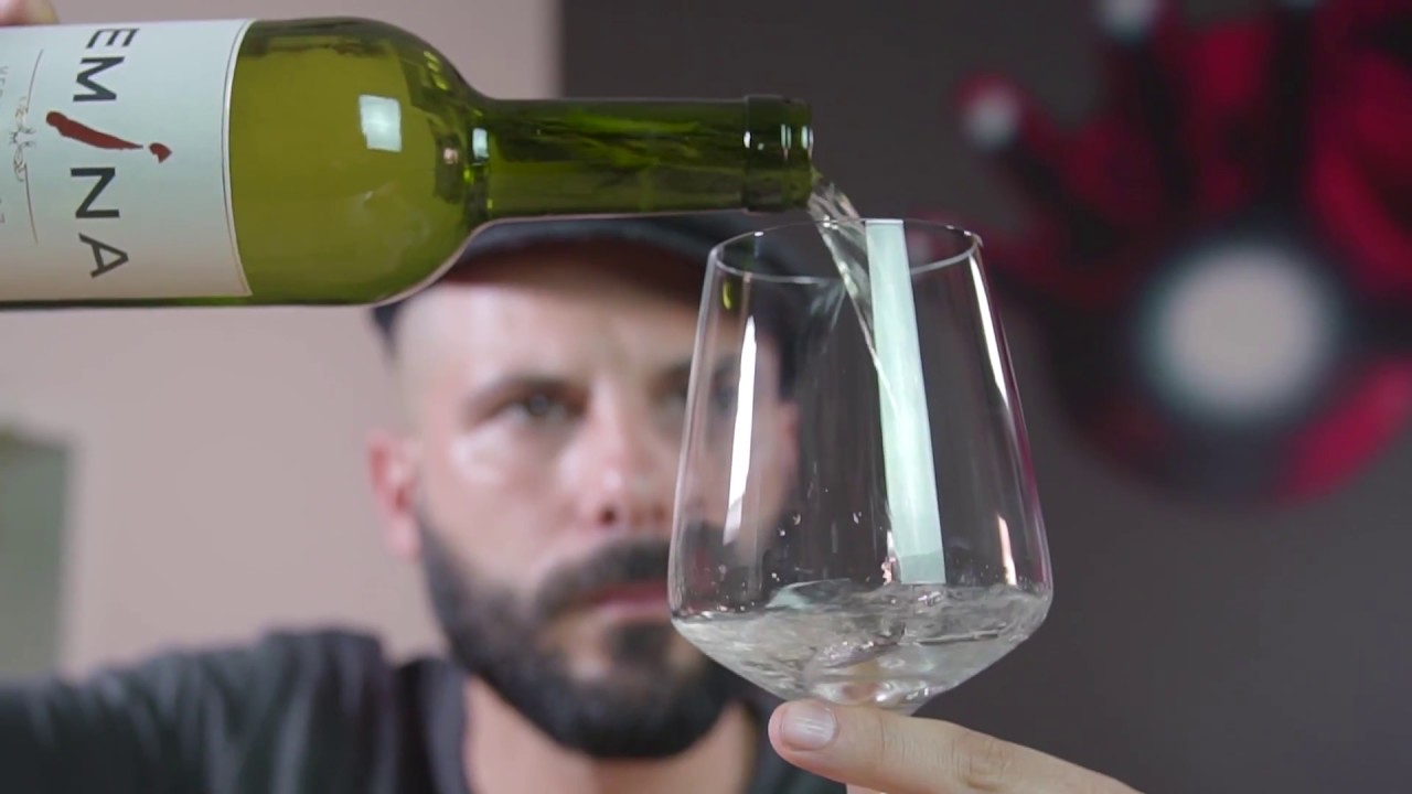 ¡VIBRA CON EL VINO! Inspirate con Emina Sauvignon - YouTube