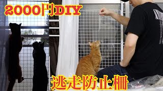 【DIY】約2000円で猫逃走防止策を作る網戸を守れ