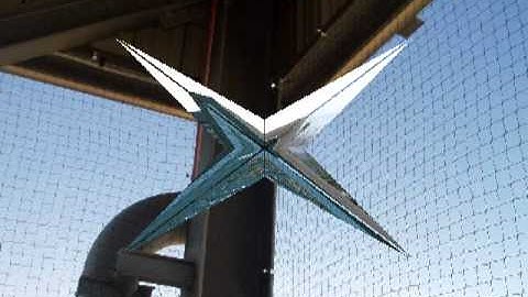 vineyard bird netting