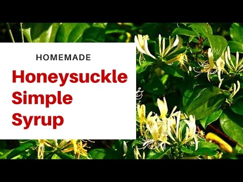 Video: Honeysuckle Ntoo. Paub