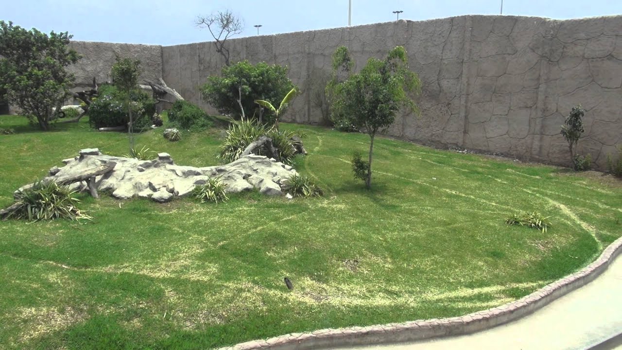 Semana de la Conservación y el Manejo de la Vida Animal