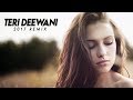 Teri Deewani Ft. Pav Dharia (2017 Remix) - DJ Tejas