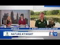 Metroparks Monday: Nature at night