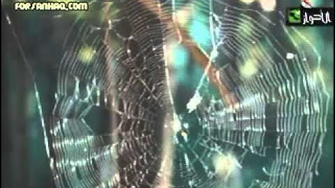 تسمية سورة العنكبوت الشيخ جمال القرش