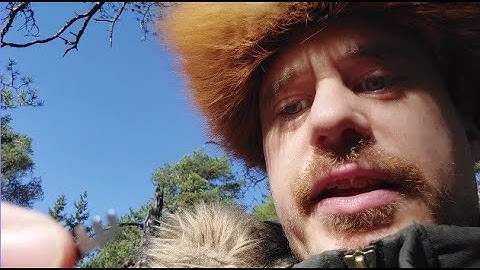 Delphi ja siltaäijän pituus eli RANTTAAVA video estimoinneista sekä persuista