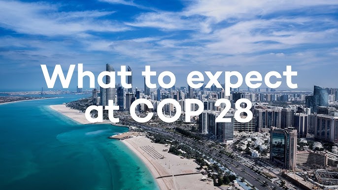 COP 28 deal: How impactful it is likely to be and what to expect from COP  29