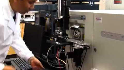 Single-probe Application: Mass Spectrometry Imaging and Single Cell Analysis