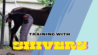 Training a SENIOR horse!  how to retrain a mare that has shivers.