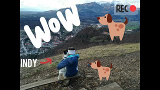 Tricks By Parson Russell Terrier Indy Puppy 8 Months Old