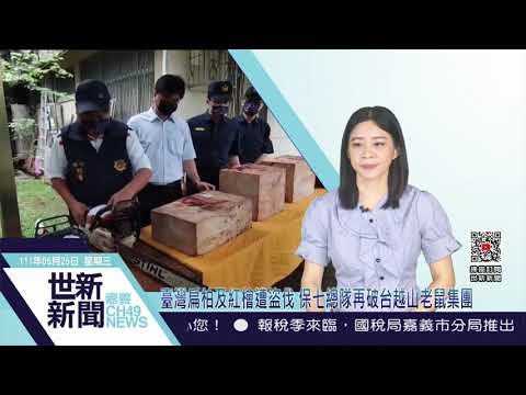 世新新聞 臺灣扁柏及紅檜遭盜伐 保七總隊再破台越山老鼠集團