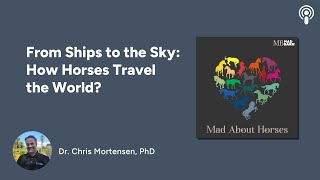 From Ships to the Sky: How Horses Travel the World