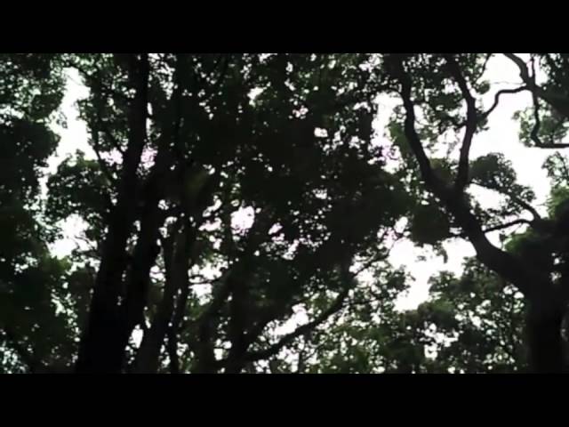 Watch Mere Women - Heave Ho on YouTube Watch Mere Women - Heave Ho on YouTube