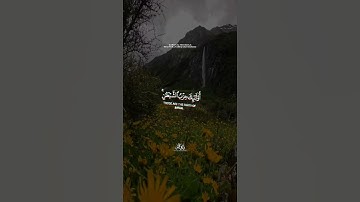 اسۡتَحۡوَذَ عَلَیۡهِمُ ٱلشَّیۡطَـٰنُ || طارق محمد || من سورة المُجادِلَة