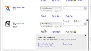 Online Banking Automatic Payments New