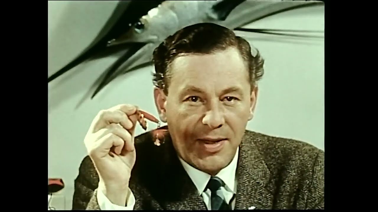 ABU reklam  - Mörrumsån 1958