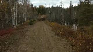 Beaver pond - Cochrane Ontario - Oct 12/19
