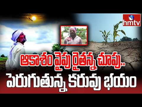 ఆకాశం వైపు రైతన్న చూపు.. పెరుగుతున్న కరువు భయం! | farmers struggles | hmtv