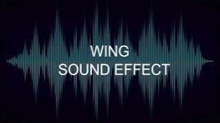 WING SOUND EFFECT