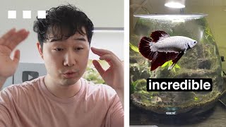 SHOCKING Fish Tanks from Instagram | Fish Tank Review 254