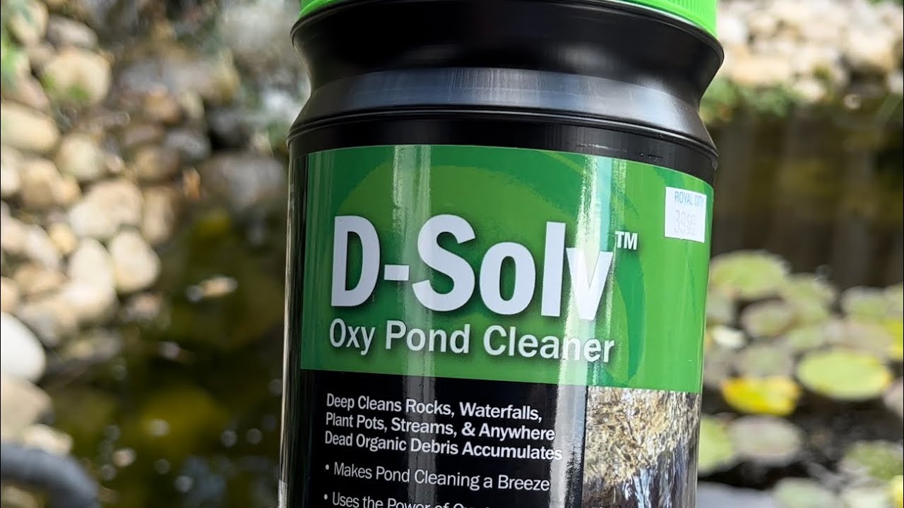 DIY Koi Pond Update Trying out the DSolv Oxy Pond Cleaner YouTube