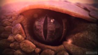 Nat Geo Wild Hd Idents 2013 Nordic Central Europe
