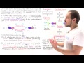 Regulation of Glucose in Blood (Part II)