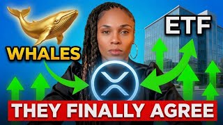 For The First Time In 2026  Whales And Etfs Are Buying Xrp At The Same Time