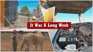 Working Every Angle by High Desert Homestead 237 views 6 days ago 17 minutes