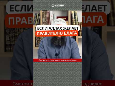 82.2 Если Аллах желает правителю блага #Shorts Ринат Абу Мухаммад