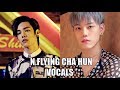 N.Flying Cha Hun Vocal Compilation (엔플라잉 차훈)