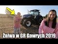 Żniwa 2019 w GR Gawrych z Mileną! ☆ Akcja Na 2 Kombajny!