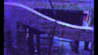 Picture 241.avi