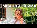 Змеиная Ферма Шри-Ланка 2022. Пляж Мирисса. Цены в пляжном кафе.