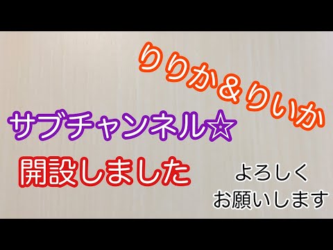 【雑談vlog】りりか、りいかとある日の夕飯＆宣伝vlog