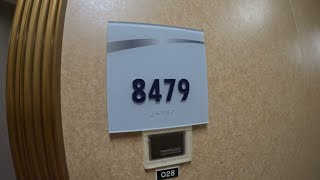 Carnival Dream Room Tour 8479  Aft Extended Balcony