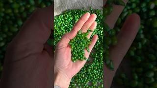 How to dye corn kernels #sensory #sensoryplay