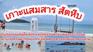 #เกาะแสมสาร สัตหีบ ชลบุรี#ดำน้ำ#พายเรือคายัค#นั่งเรือท้องกระจก#กิจกรรมชายหาด