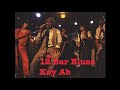 Muddy Waters- Champagne and Reefer - 12 Bar Blues Backing Track in Ab