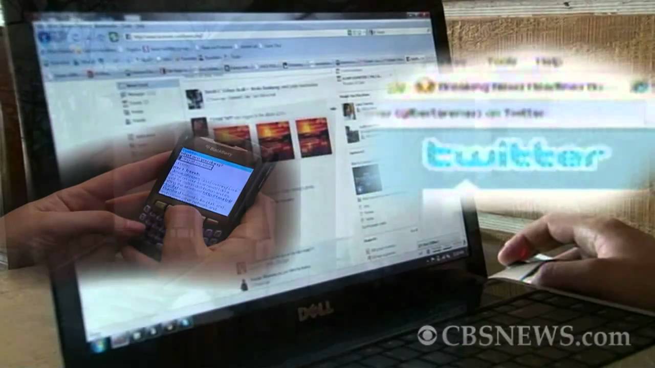 Missing Bronx Zoo cobra recovered