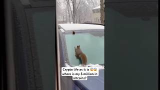 It is hard to catch #crypto Bullrun