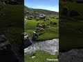 واشرفت راس الطويله لخالد الدهيري بدون موسيقى