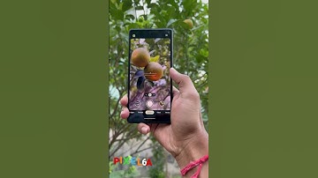 Google pixel 6A camera and OLED display🔥😍 #shorts