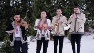 Dani Cotan - Seara Sfântă de Crăciun | Cele Mai Frumoase Colinde 2024 🎄 Melodii Noi de Crăciun