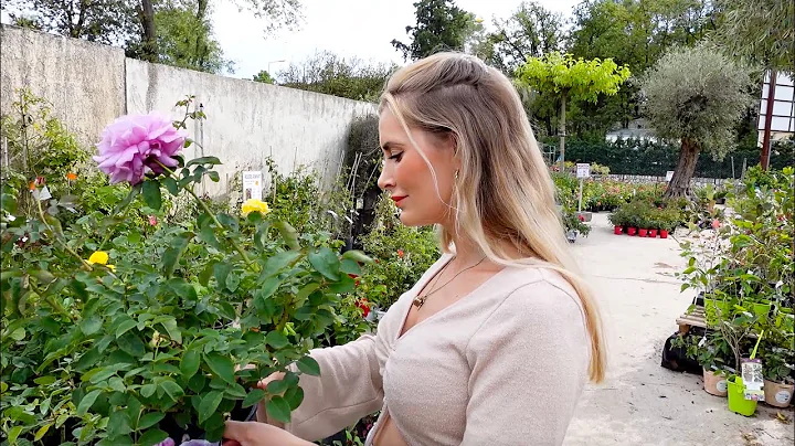 HOME AND GARDEN PRODUCTIVE DAY | Fern Weston-Benne...