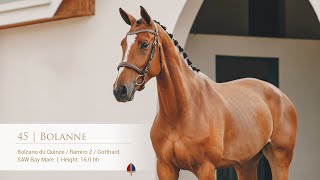 Lot 45 Callaho Bolanne (Bolzano du Quinze x Ramiro Z x Gotthard)